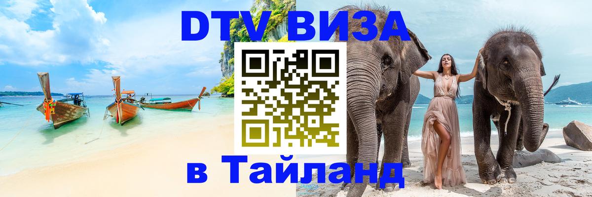 Оформление DTV визы под ключ: стоимость и тарифы, только загранпаспорт - 